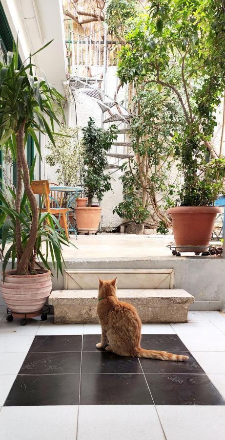Athenian Yard Near Acropolis Βίλα Εξωτερικό φωτογραφία